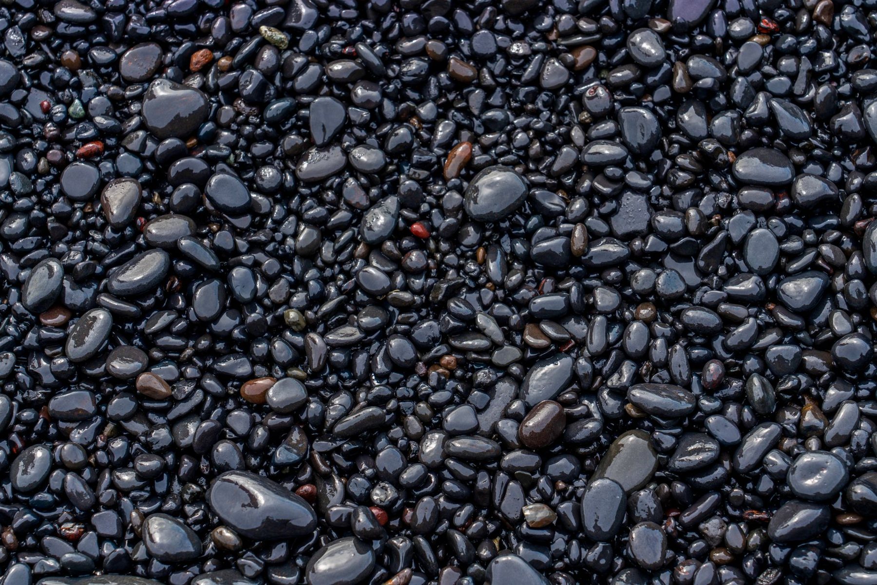 Fresh pebble interiors in Phoenix, AZ